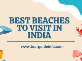 Best Beaches To Visit in India